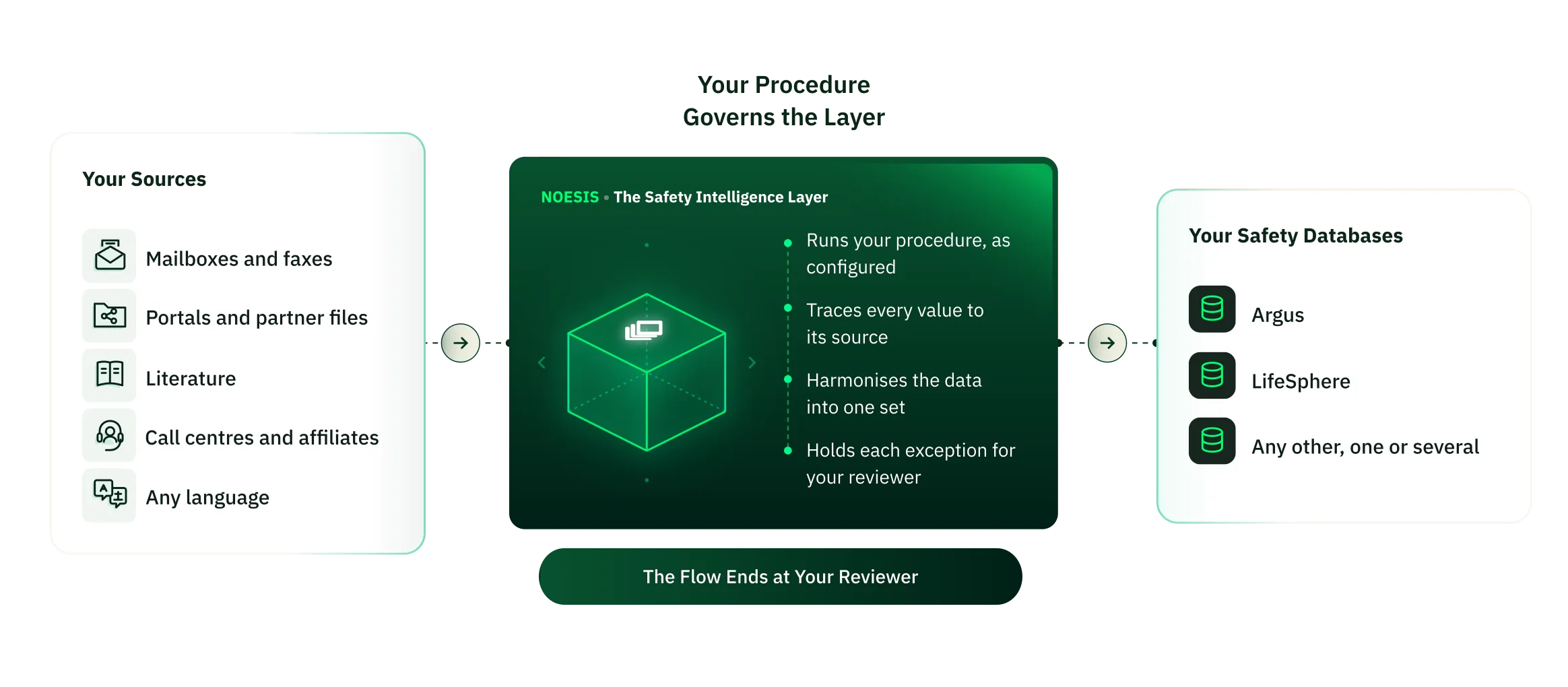 Your procedure applied between your sources and safety databases, with every exception held for your reviewer